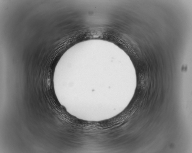 X0000098121442200805021145