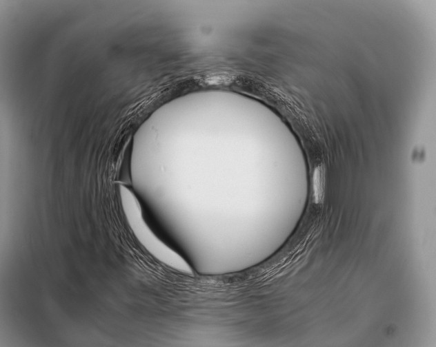 X0000098121443200805021145