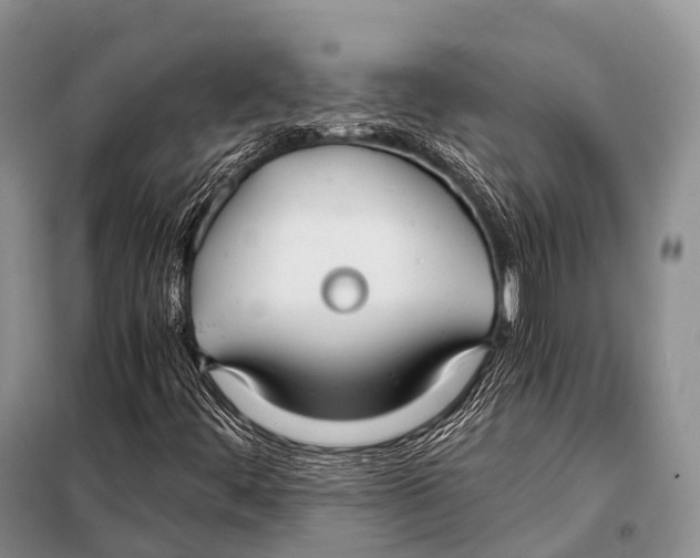X0000098121444200805021145