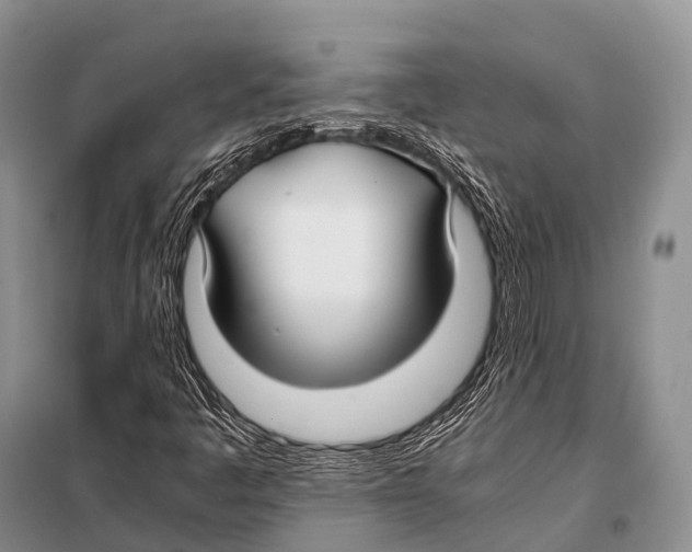 X0000098121445200805021145
