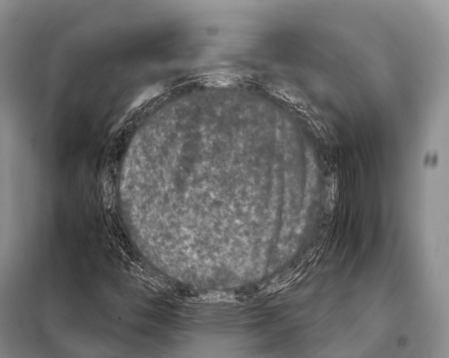 X0000098121446200805021145