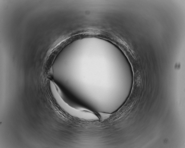 X0000098121448200805021145