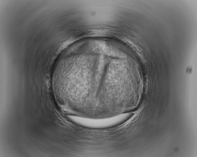 X0000098121449200805021145