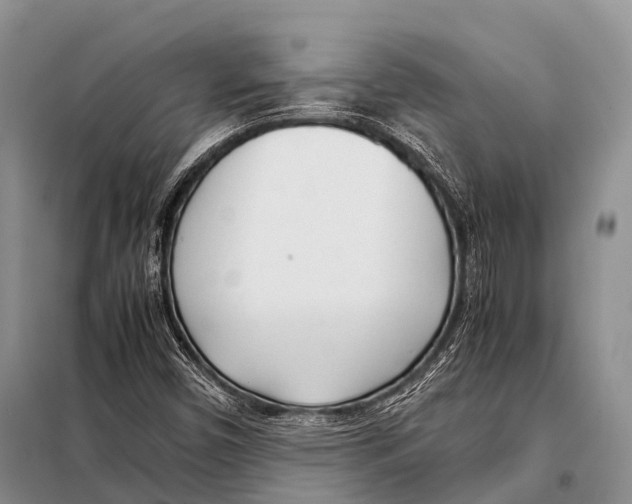 X0000098121450200805021145