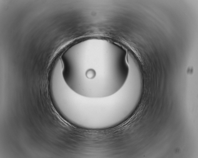 X0000098121452200805021145