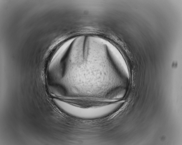 X0000098121453200805021145