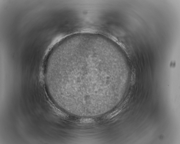 X0000098121454200805021145