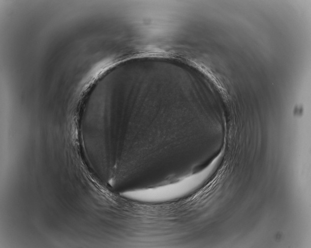 X0000098121455200805021145