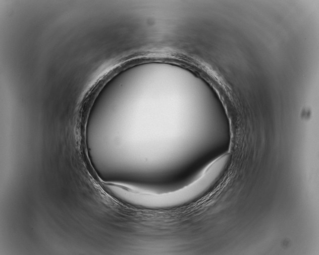 X0000098121456200805021145