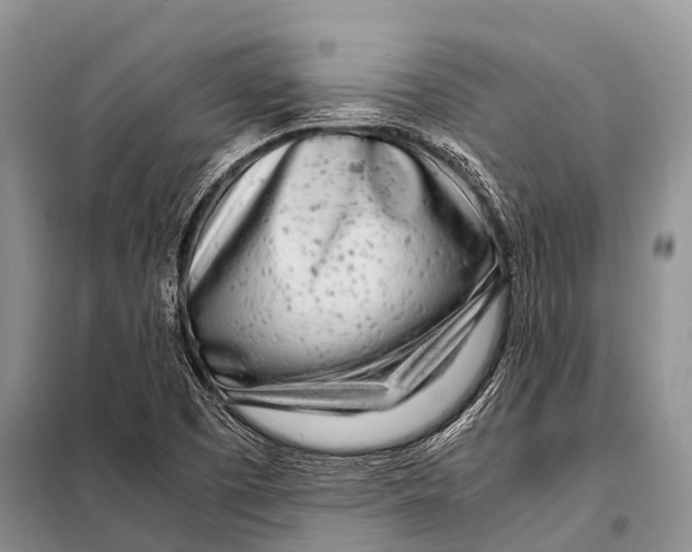 X0000098121457200805021145