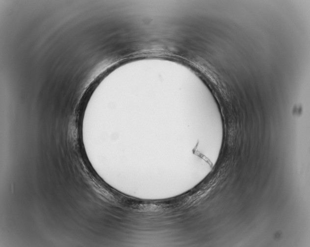 X0000098121458200805021145