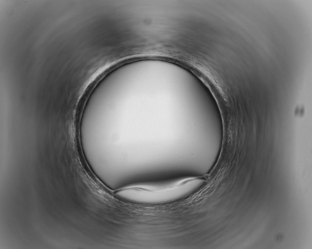 X0000098121460200805021145