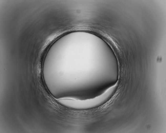 X0000098121461200805021145