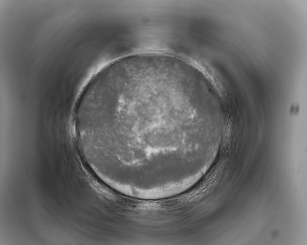 X0000098121462200805021145