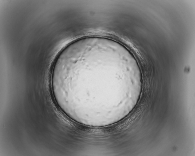 X0000098121463200805021145