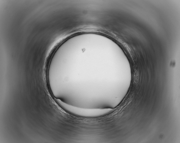 X0000098121464200805021145
