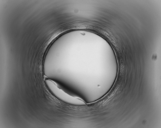 X0000098121465200805021145