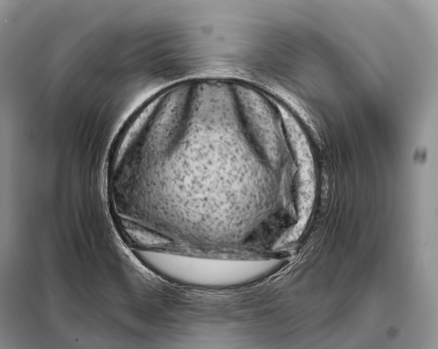 X0000098121468200805021145
