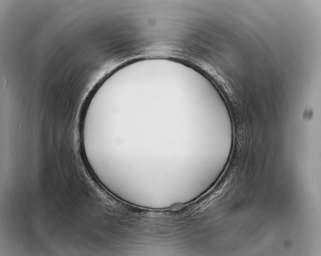 X0000098121469200805021145
