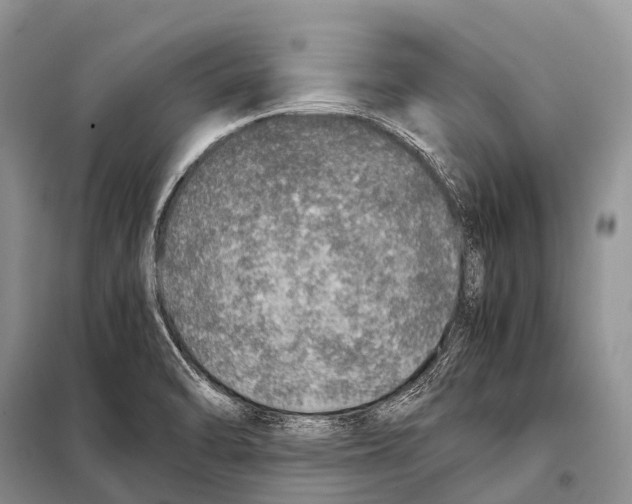 X0000098121470200805021145