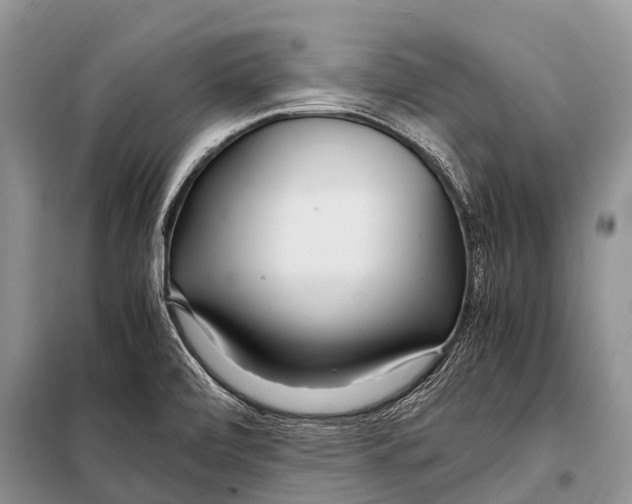 X0000098121472200805021145