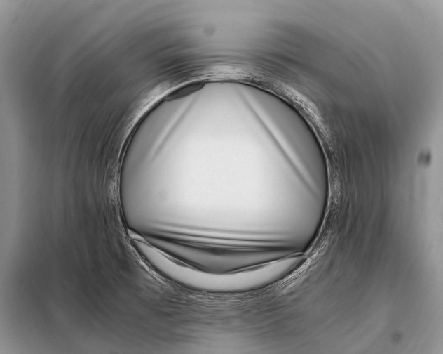 X0000098121473200805021145