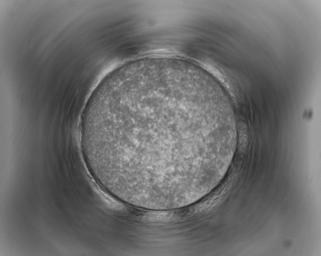 X0000098121474200805021145