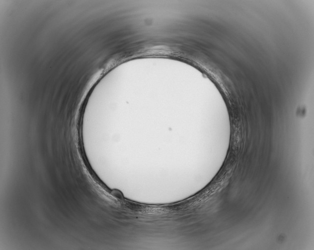 X0000098121475200805021145