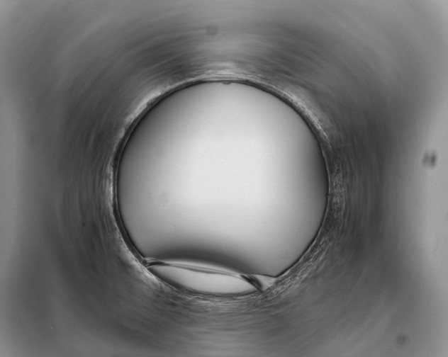 X0000098121476200805021145