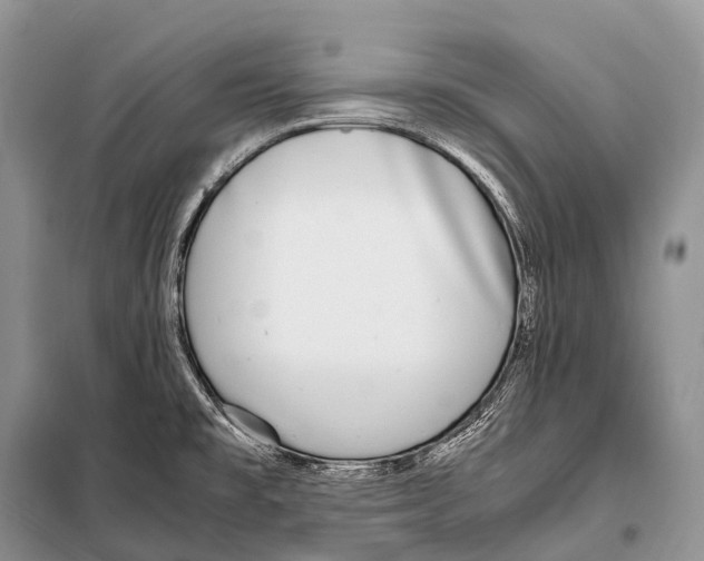 X0000098121477200805021145
