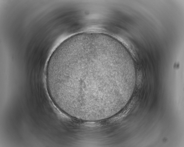 X0000098121478200805021145