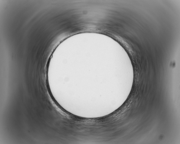 X0000098121479200805021145