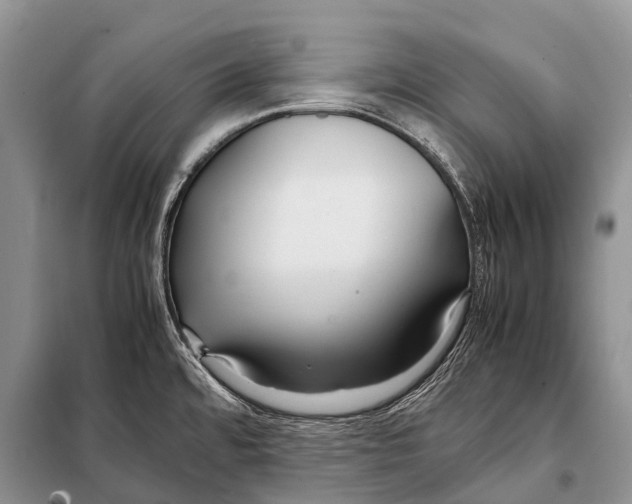 X0000098121480200805021145