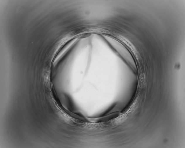 X0000098121481200805021145