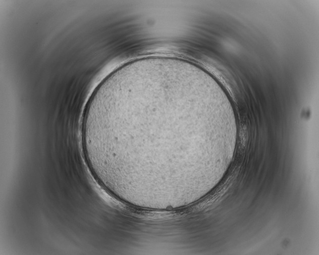 X0000098121482200805021144