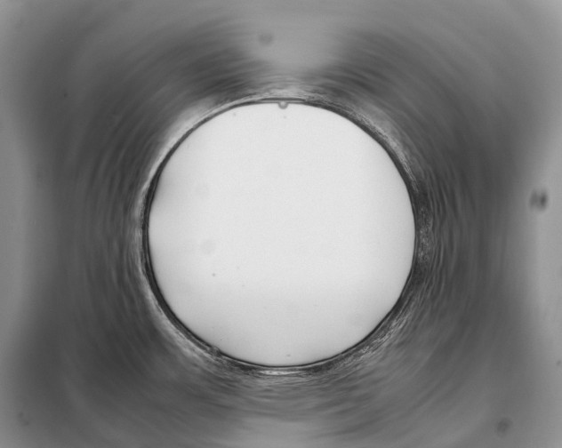 X0000098121483200805021144