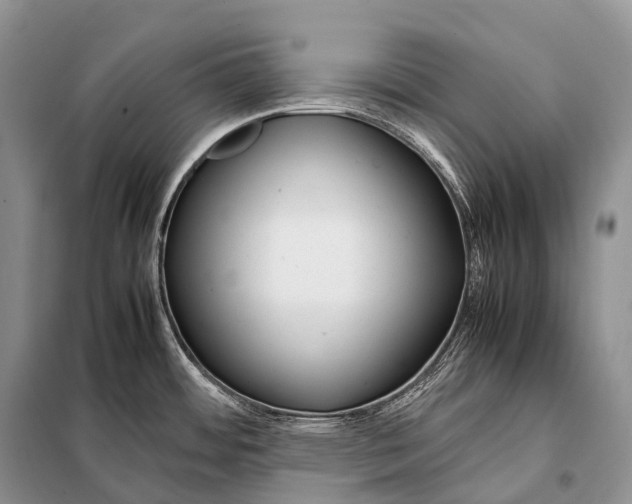 X0000098121484200805021144