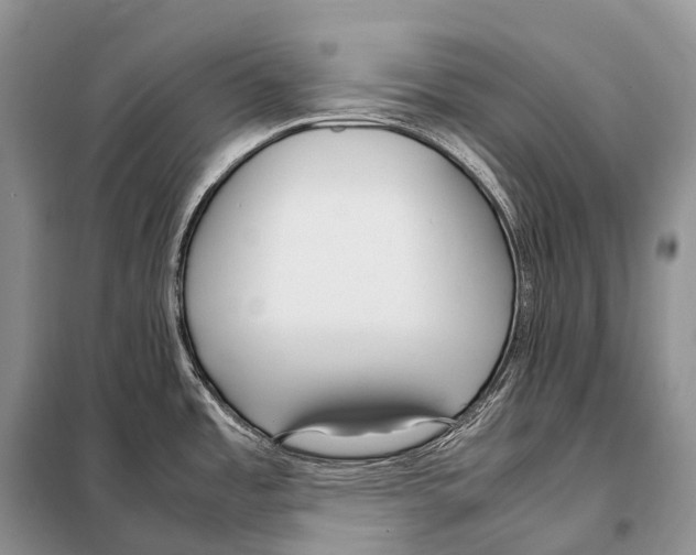X0000098121485200805021144