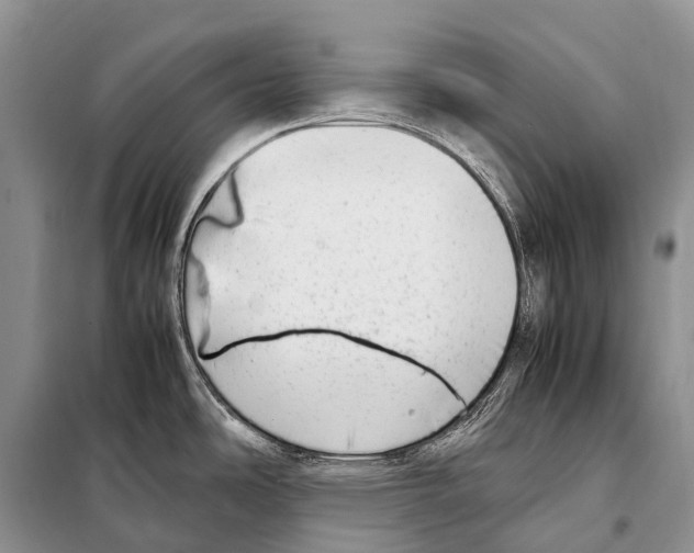 X0000098121486200805021144