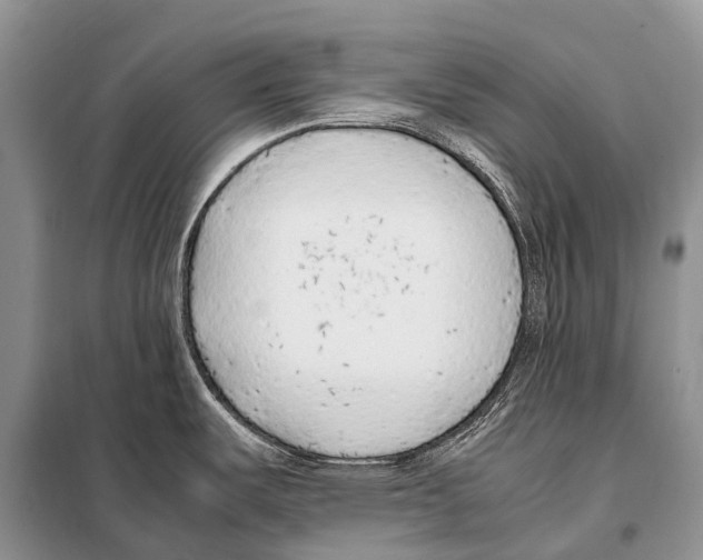 X0000098121487200805021144