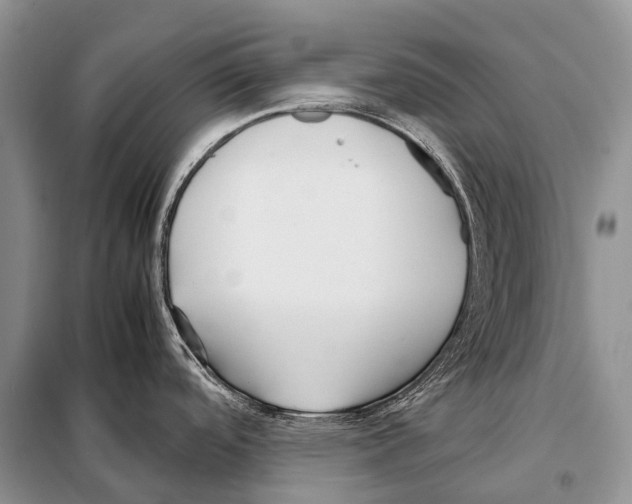 X0000098121488200805021144