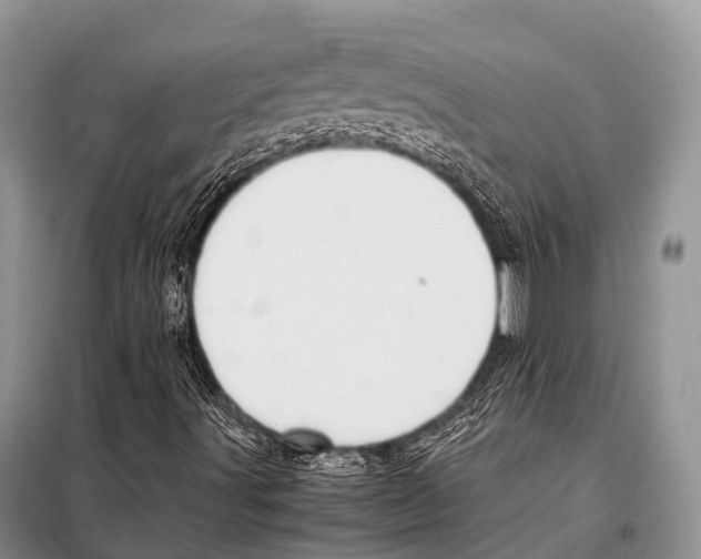 X0000098121491200805021144