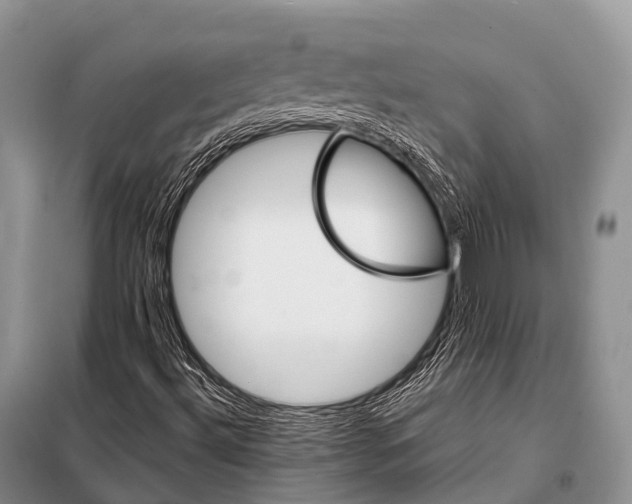 X0000098121492200805021144