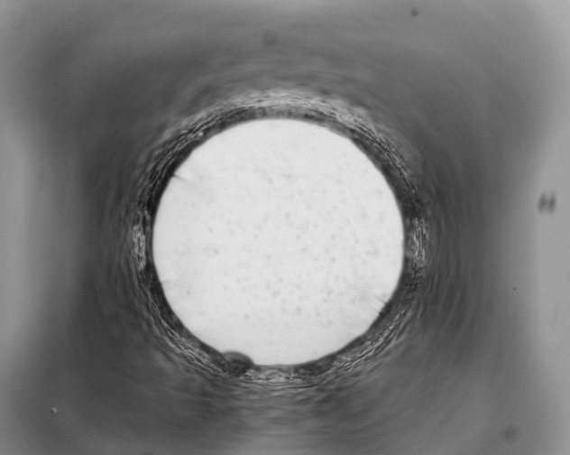 X0000098121493200805021144