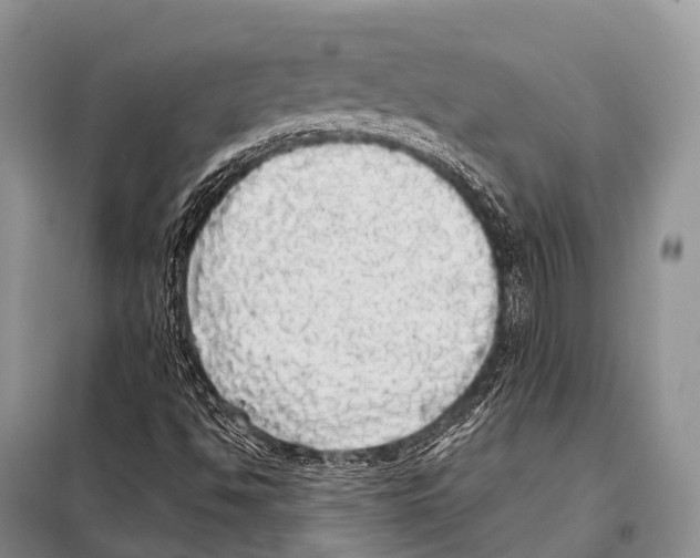 X0000098121494200805021144