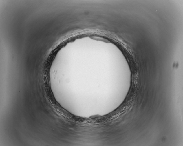 X0000098121496200805021144