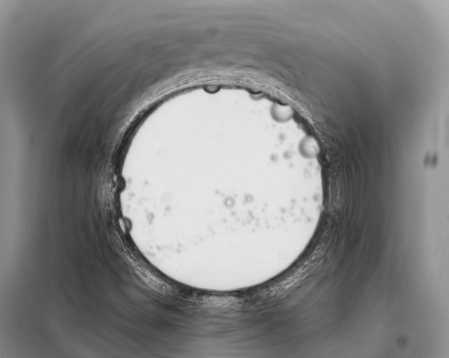 X0000098121498200805021144
