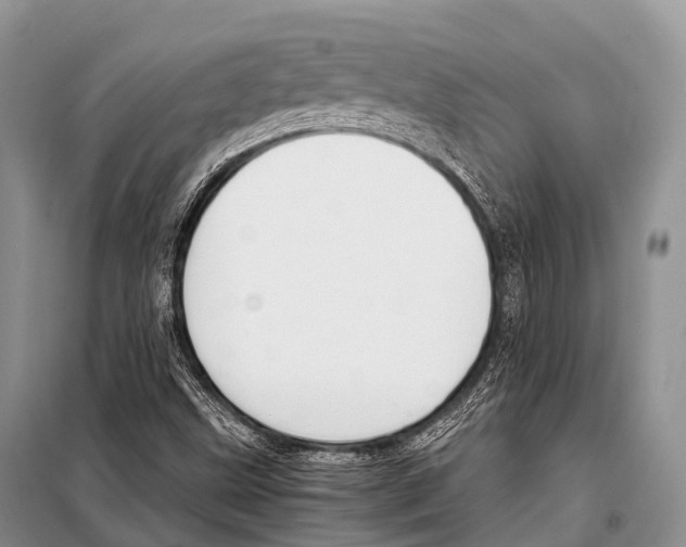 X0000098121499200805021144