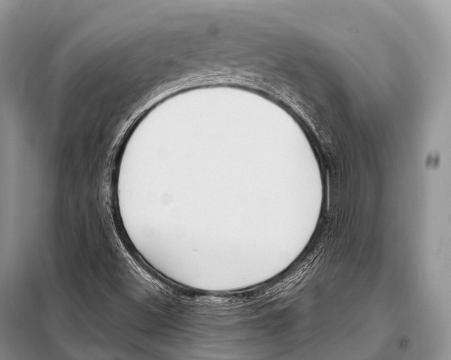 X0000098121500200805021144