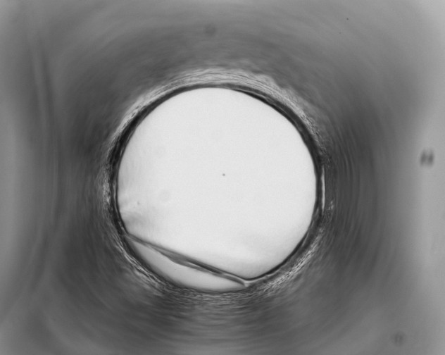 X0000098121501200805021144